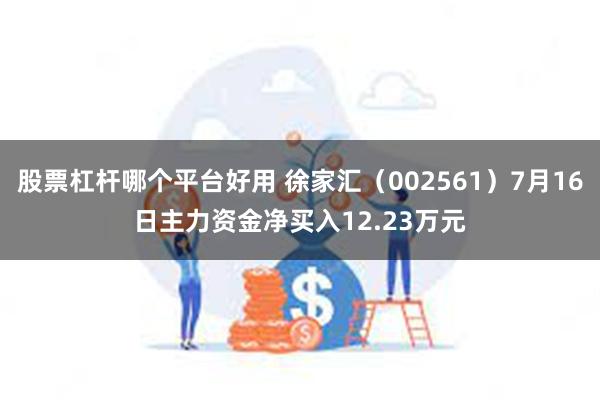 股票杠杆哪个平台好用 徐家汇（002561）7月16日主力资金净买入12.23万元