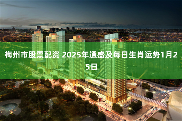 梅州市股票配资 2025年通盛及每日生肖运势1月25日